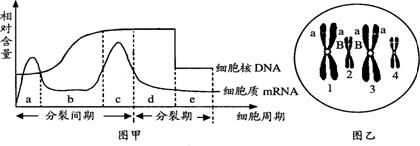 C:\Documents and Settings\Administrator\桌面\121.files\12111.gif