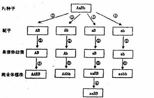 高考资源网( www.1010jiajiao.com)，中国最大的高考网站，您身边的高考专家。
