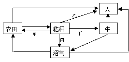 WƾW(Zxxk.Com)