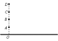 6ec8aac122bd4f6e