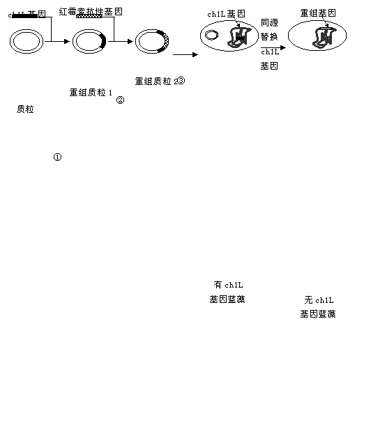 WƾW(Zxxk.Com)