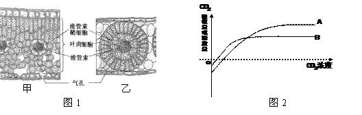 WƾW(Zxxk.Com)
