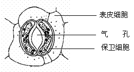 高考资源网(www.1010jiajiao.com)，中国最大的高考网站，您身边的高考专家。