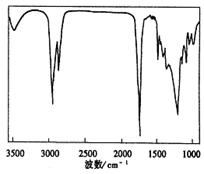 t25-1.gif (4055 bytes)