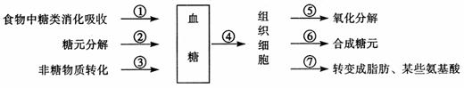 6ec8aac122bd4f6e