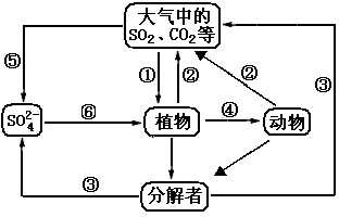 6ec8aac122bd4f6e