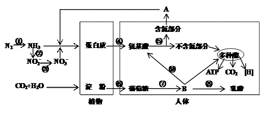 高考资源网( www.1010jiajiao.com)，中国最大的高考网站，您身边的高考专家。