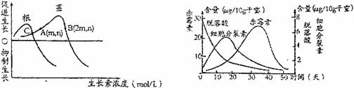 高考资源网(www.1010jiajiao.com)，中国最大的高考网站，您身边的高考专家。