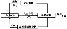 6ec8aac122bd4f6e