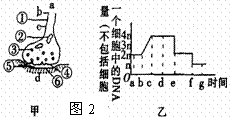 6ec8aac122bd4f6e