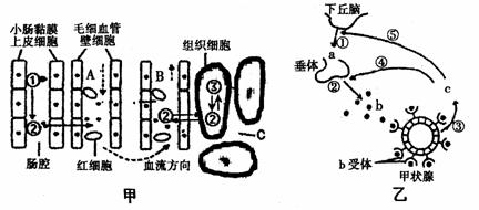 6ec8aac122bd4f6e