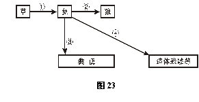 6ec8aac122bd4f6e