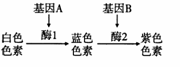 6ec8aac122bd4f6e