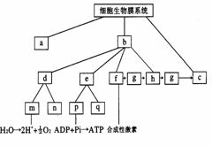 高考资源网( www.1010jiajiao.com)，中国最大的高考网站，您身边的高考专家。