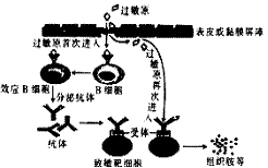 高考资源网( www.1010jiajiao.com)，中国最大的高考网站，您身边的高考专家。
