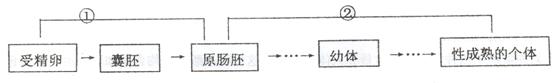 www.gongchengfu.com