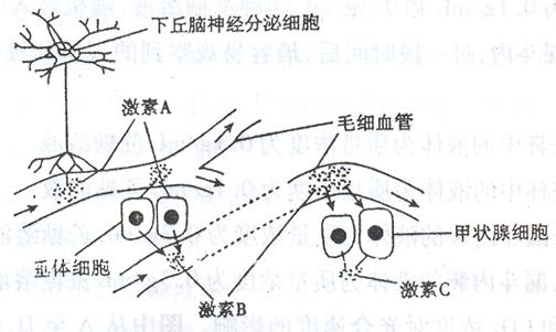 www.gongchengfu.com