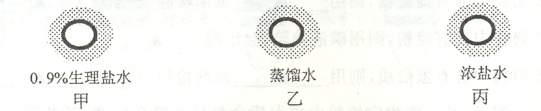 6ec8aac122bd4f6e