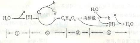6ec8aac122bd4f6e
