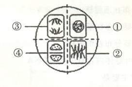 6ec8aac122bd4f6e