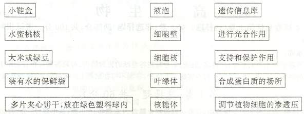 6ec8aac122bd4f6e