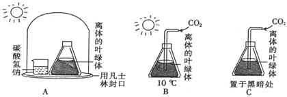 学科网(Zxxk.Com)