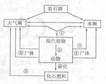 高考资源网(www.1010jiajiao.com)，中国最大的高考网站，您身边的高考专家。