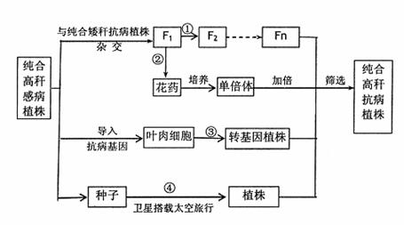 高考资源网(www.1010jiajiao.com)，中国最大的高考网站，您身边的高考专家。