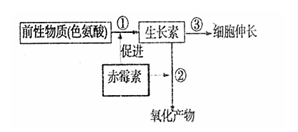 高考资源网(www.1010jiajiao.com)，中国最大的高考网站，您身边的高考专家。
