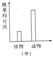 ߿YԴW
www.gongchengfu.com