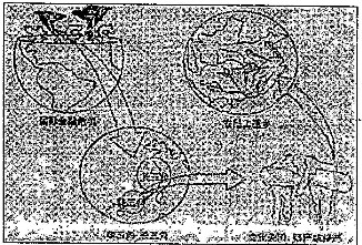 高考资源网(www.1010jiajiao.com)，中国最大的高考网站，您身边的高考专家。