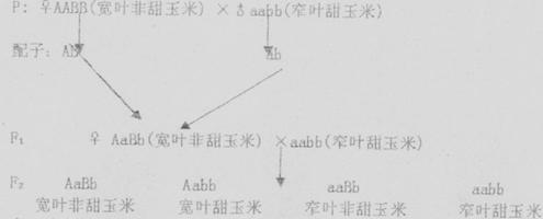高考资源网(www.ks5u.com)，中国最大的高考网站，您身边的高考专家。