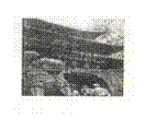 6ec8aac122bd4f6e