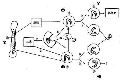 6ec8aac122bd4f6e