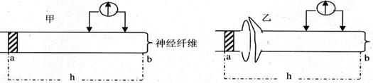 6ec8aac122bd4f6e