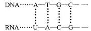 6ec8aac122bd4f6e