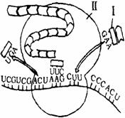 6ec8aac122bd4f6e