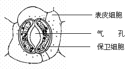 W(xu)ƾW(wng)(Zxxk.Com)