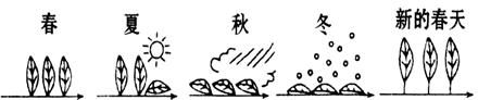 6ec8aac122bd4f6e