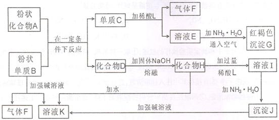 www.1010jiajiao.com