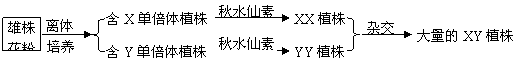 学科网(Zxxk.Com)
