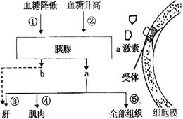 高考资源网( www.1010jiajiao.com)，中国最大的高考网站，您身边的高考专家。