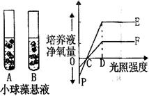 高考资源网( www.1010jiajiao.com)，中国最大的高考网站，您身边的高考专家。