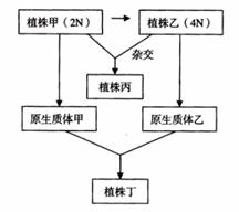 高考资源网( www.1010jiajiao.com)，中国最大的高考网站，您身边的高考专家。