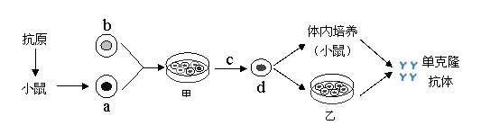 高考资源网( www.1010jiajiao.com)，中国最大的高考网站，您身边的高考专家。