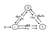 6ec8aac122bd4f6e