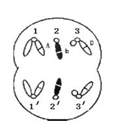 6ec8aac122bd4f6e