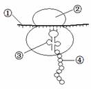 高考资源网( www.1010jiajiao.com)，中国最大的高考网站，您身边的高考专家。