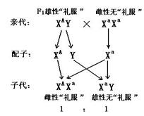 高考资源网( www.ks5u.com)，中国最大的高考网站，您身边的高考专家。