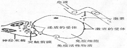 高考资源网(www.1010jiajiao.com)，中国最大的高考网站，您身边的高考专家。